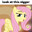 racist fluttershy avatar