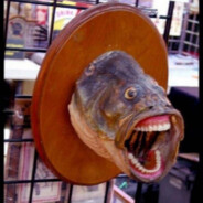 Totorgona's Avatar