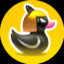 Duck it