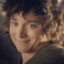 Discount Frodo