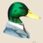 ar.duck