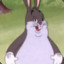 BIG CHUNGUS