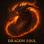 dragon soul12312