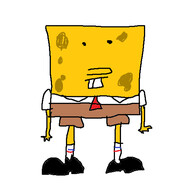 the bob