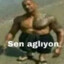 sen aglion