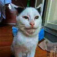 ︎ ︎ ︎ ︎ ︎ ︎ ︎ ︎ ︎ ︎ ︎ ︎ ︎ ︎ ︎ ︎ ︎ ︎ ︎ ︎ ︎ ︎ ︎ ︎ ︎ ︎ ︎ avatar