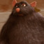 the big rat from ratatouille