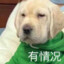 厨房里竟然有老鼠！