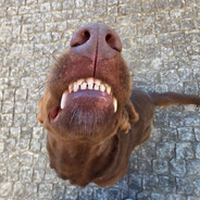 PT* [E]ternal > Reformado!! :D