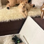 on the scene: Greyson