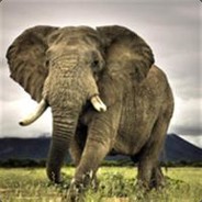 大卫•尼古拉斯•皮