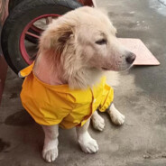 意中人是癔中人