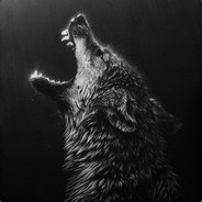 azoeXs - steam id 76561198815929138