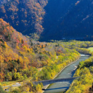 风里雨里，二楼等你