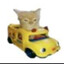beep beep!