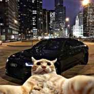 xizzlee - steam id 76561198822153154