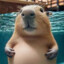 TIO CAPIBARA