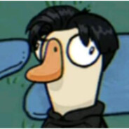 衣服包包给你换新的