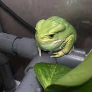 трубоёб виталя