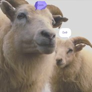 老干妈拌雪梨喂张学友