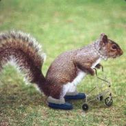 kpax - steam id 76561197961457036