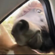 大大大大大丶手子