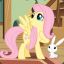 fluttershy