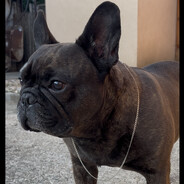 Carlos