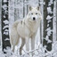 Destiny_Wolf20