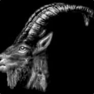 Mac Bouc - steam id 76561197971007194