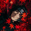 Akai