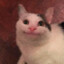 Kukisharcos(CATS).