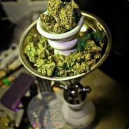 Кукис есть?!