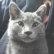 Big Avatar