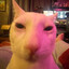 Avatar of INGBTOTGH