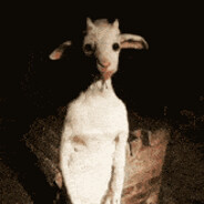 scary goat avatar