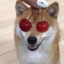 林若