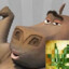 DI LE NO A LAS DRUGS