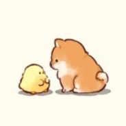 周五还是听JJ的歌吧