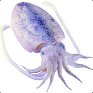 花开丶水面大乌贼