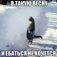 Пельменевылавливательница