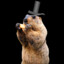 Bossmarmot22212