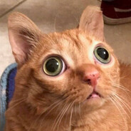 Лина из Берлина