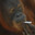 leprous_monkey