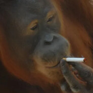 leprous_monkey