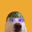 Linsmile11