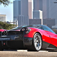 有只小狮子叫恺恺