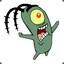 plankton