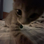 Avatar snapshot