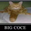 BIG COCE